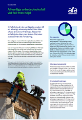 Rapport om fallolyckor