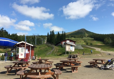 Hyr stuga i Lofsdalen