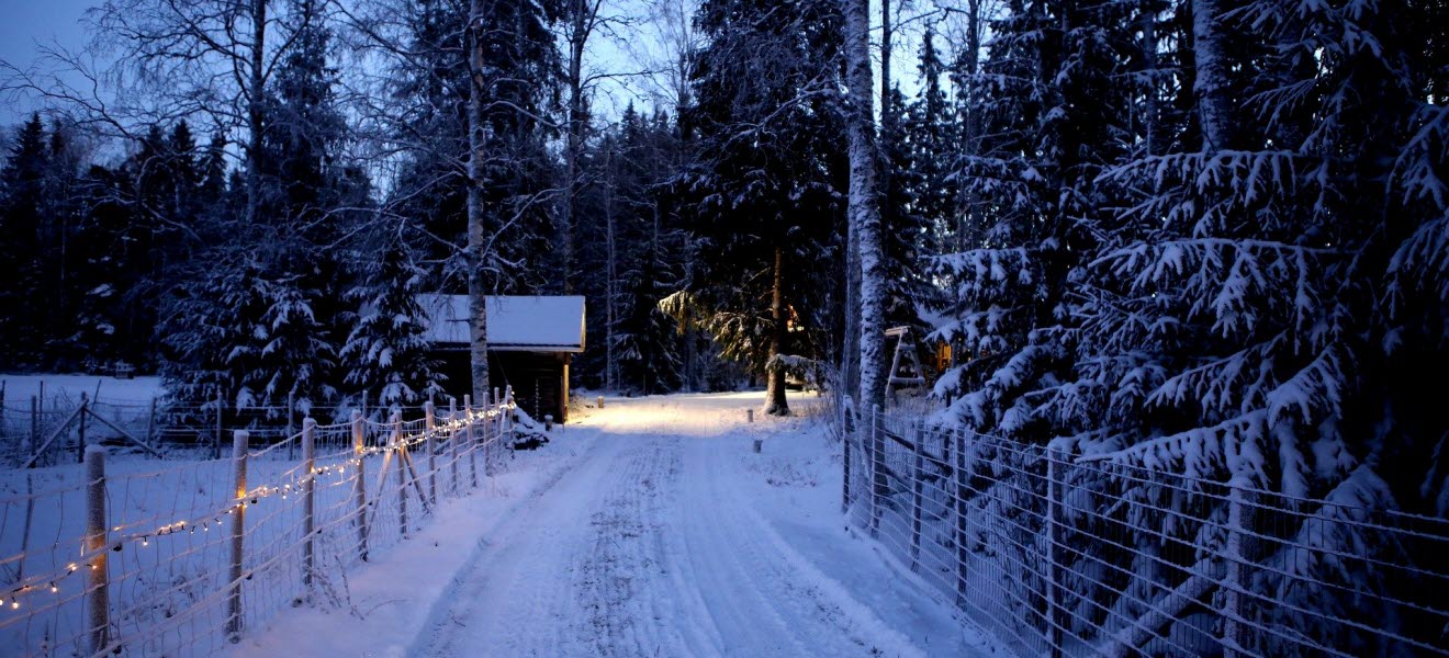 Genrebild på en snötäckt skogsväg